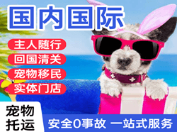 广元盘龙空运公司国际宠物托运 【国